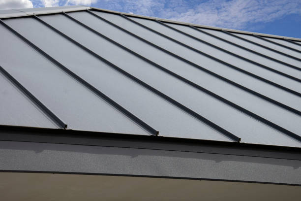 Best Roof Moss and Algae Removal  in Scenic, AZ